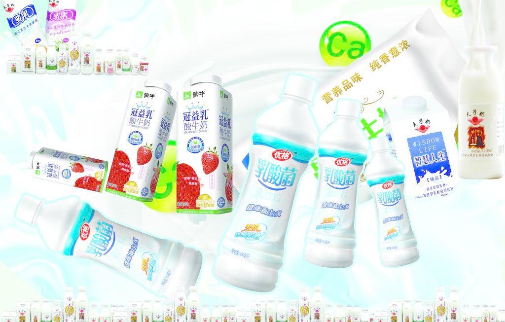 乳酸菌 小小微生物，守護大健康——日用百貨中的健康衛士